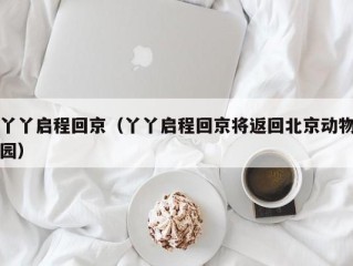 丫丫启程回京（丫丫启程回京将返回北京动物园）