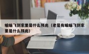 蝙蝠飞到家里是什么预兆（老是有蝙蝠飞到家里是什么预兆）