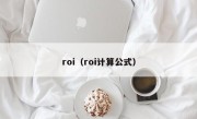 roi（roi计算公式）