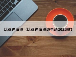 比亚迪海鸥（比亚迪海鸥纯电动2023款）