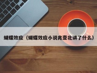 蝴蝶效应（蝴蝶效应小说兆壹北讲了什么）