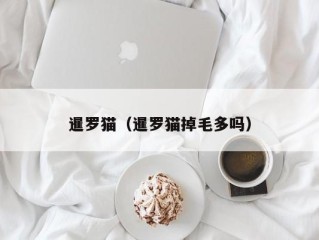 暹罗猫（暹罗猫掉毛多吗）