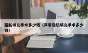 脂肪填充手术多少钱（声带脂肪填充手术多少钱）