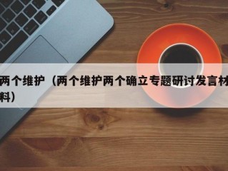 两个维护（两个维护两个确立专题研讨发言材料）