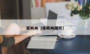 宋昕冉（宋昕冉图片）