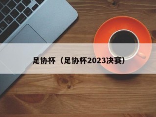 足协杯（足协杯2023决赛）