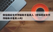 微信回应文件传输助手是真人（微信回应文件传输助手是真人吗）