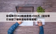 硅谷银行CEO精准套现2500万（硅谷银行采取了哪种目标市场策略）