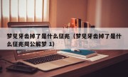 梦见牙齿掉了是什么征兆（梦见牙齿掉了是什么征兆周公解梦 1）